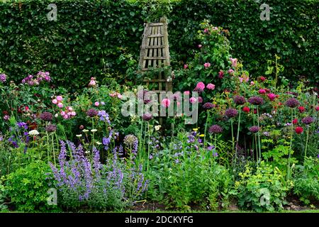 cottage garden,rose,roses,nepeta allium atropurpureum,blue,red,pink,yellow,flowers,wooden obelisk,wood obelisk,garden,gardens,garden feature,RM Floral Stock Photo