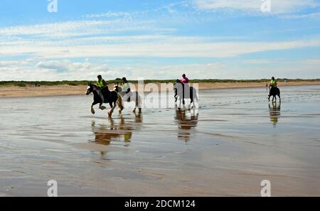Horses with riders gallopping along the beach at Chapel St Leonards, Skegness, Lincolnshire, UK Stock Photo