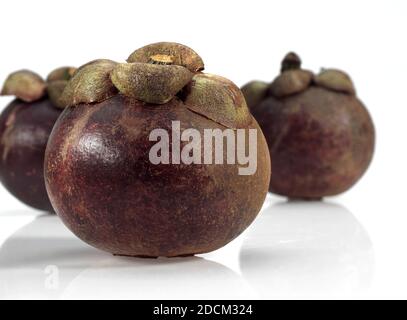 MANGOSTEEN FRUIT garcinia mangostana AGAINST WHITE BACKGROUND Stock Photo