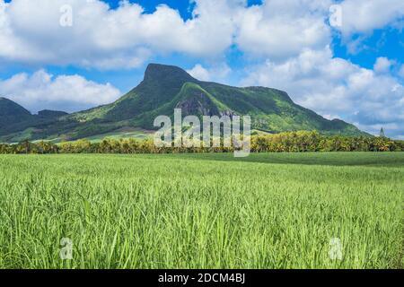 Panoramic view of mountains and sugar cane fields in Mauritius, Africa Stock Photo