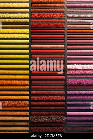 Samples of carpets of different colors on a stand in a store or production. Multi-colored carpet samples on the floor Stock Photo