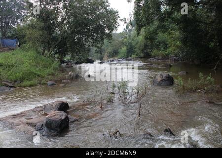 Clear water runs through the grey stones, background.The concept of freshness and eternal movement. Stock Photo