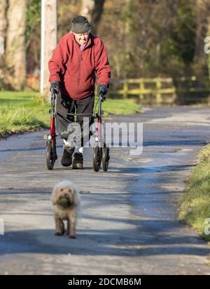 Senior person taking exercise using a rollator mobility walking frame and walking a dog along a quiet country lane, UK Stock Photo