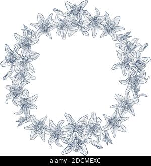 Lily Flower Outline Border isolated on White Background. Vector ...