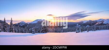 Awesome sunrise. High mountains with snow white peaks. A panoramic view of the covered with frost trees in the snowdrifts. Winter forest. Natural land