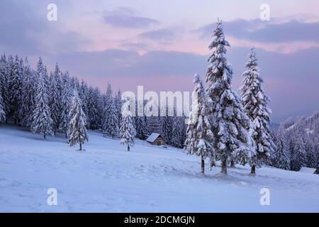Winter scenery. Awesome sunrise. Old wooden hut on the lawn covered with snow. Landscape of high mountains and forests. Wallpaper background. Location Stock Photo