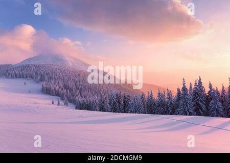 Winter forest. Awesome sunrise. High mountains with snow white peaks. Natural landscape with beautiful sky. Wallpaper background. Location place Carpa