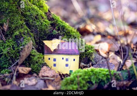 Small toy house near the mossy tree among fallen leafs on the autumn day. Stock Photo