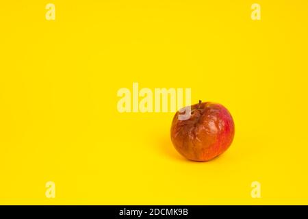 Rotten apple with a worm on a uniform yellow background. Stock Photo