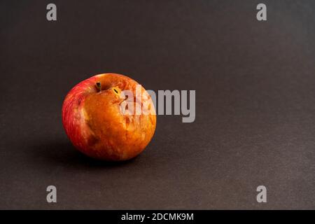 Rotten apple with a worm on a uniform black background. Stock Photo