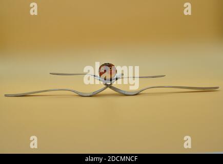 two intertwined forks with two teaspoons on top in perfect balance, with marble owl head on top, isolated on neutral background Stock Photo