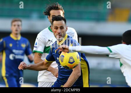 Marcantonio Bentegodi stadium, Verona, Italy, 22 Nov 2020, Nikola Kalinic (Verona) during Hellas Verona vs Sassuolo Calcio, Italian football Serie A match - Photo Alessio Tarpini / LM Stock Photo