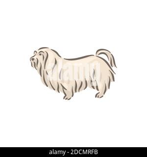 Cute dog Maltese breed pedigree vector illustration  Stock Vector
