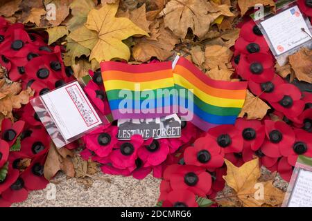 remembrance poppy rainbow