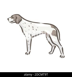 Cute dog Pointer breed pedigree vector illustration  Stock Vector
