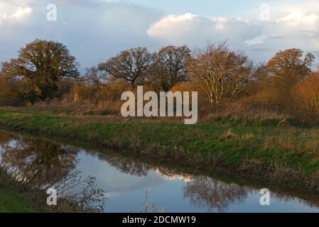 View along the South Drain at Shapwick Heath Nature Reserve in Somerset, on a still winters evening just before sunset. Stock Photo