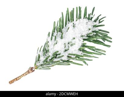 Fir tree branch with a snow isolated on white background. Top view. Merry Christmas concept Stock Photo