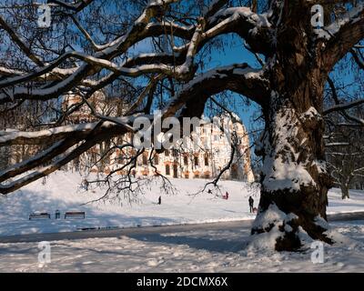 Celle, Schloss im Winter Stock Photo