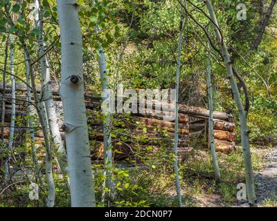 Old Maid Mine site, Dexter Creek Trail, Uncompahgre National Forest, Ouray, Colorado. Stock Photo