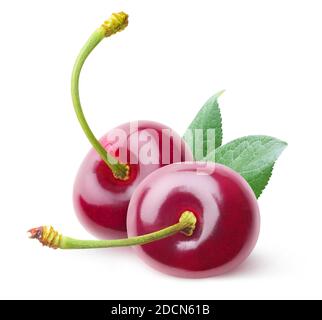 Isolated cherries. Two cherry fruits with curvy stems isolated on white background Stock Photo