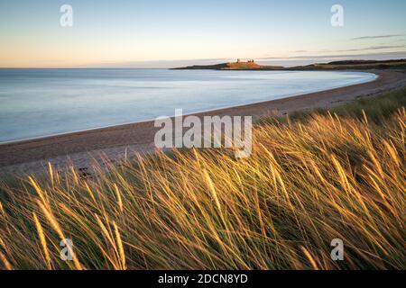 The sweeping curve of Embleton Bay during the evening golden hour with Dunstanburgh Castle catching the last direct light of day on the horizon. Stock Photo