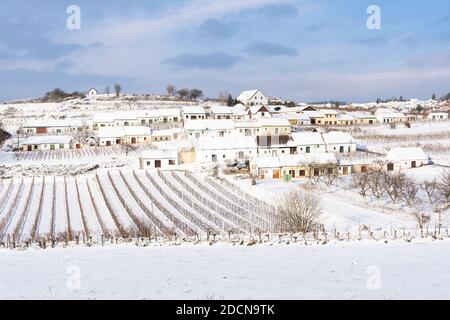 Snow in winter time lies deep on the distinctive terraces of wine cellars on Mittelberg Kellergasse, popular with wine lovers, Lower Austria Stock Photo