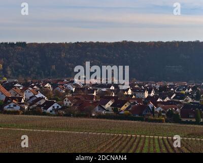 View of small village Hessigheim in Baden-Württemberg, Germany with residential area of single- and two-family buildings and vineyards in front. Stock Photo
