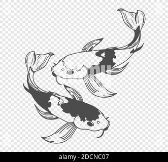 carp sketch on transparent background. Freehand japanese carp tattoo, vector illustration Stock Vector