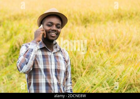 African farmer using smartphone in organic rice field with smile and happy.Agriculture or cultivation concept Stock Photo