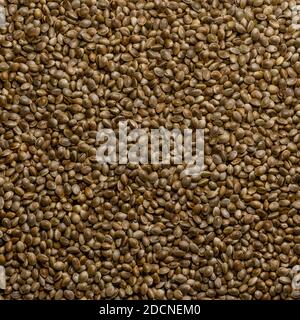 Whole hemp seeds. Square shaped background and surface with raw fruits of Cannabis sativa. High in complete protein and great source of iron. Stock Photo