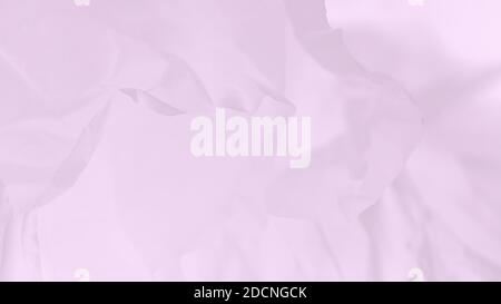 Delicate pale violet pink abstract background, blurred lines Stock Photo