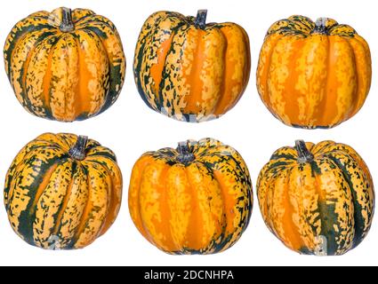 Various view of carnival mini Pumpkins Isolated on a White Background Stock Photo