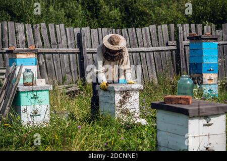 Beekeeper in protection suit inspecting his row of beehives at apiary with bees swarming around him Stock Photo