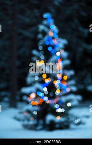 Defocused view of christmas tree Stock Photo