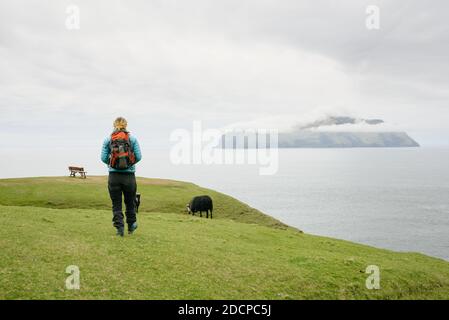 Anonymous female traveler walking towards grazing cow on grassy cliff near sea Stock Photo