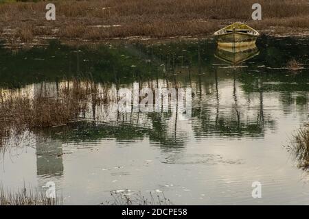 lake with a boat and reflections of trees Stock Photo