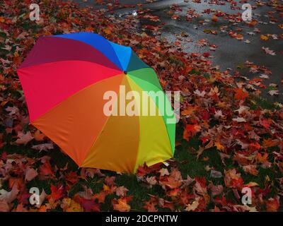 Multi Colored Umbrella on Fall Rainy Leaves Stock Photo