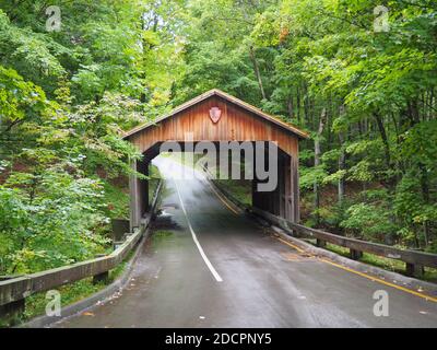 Covered Bridge Surrounded by Lush Green Foliage Stock Photo