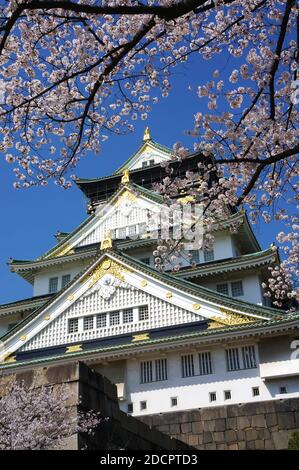 Osaka Castle in the spring with cherry blossoms. Stock Photo