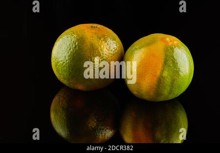 Two Fresh ripe yellow-green tangerines on a black background with reflection. Stock Photo