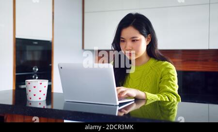 Asian freelance business women using laptop for video conference with customer in her appartment. High quality photo Stock Photo