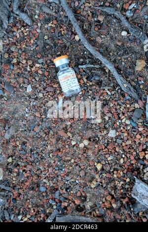 Empty Naloxone HCL vial left on the ground; opioid antagonist used for the treatment of known or suspected opioid overdose; opioid effect blocker. Stock Photo