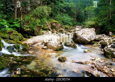 River deep in mountain forest. Nature composition. Stock Photo