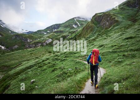 Back view of tourist with backpack traveling alone in green hillside valley. Young man hiker with trekking poles walking down the road among beautiful high mountains. Concept of travelling and hiking. Stock Photo