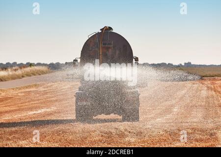 Truck irrigating a wheat field with fresh water. Efficiency agriculture Stock Photo