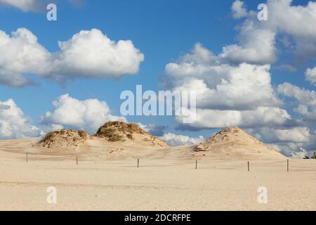 Slovinski national park, Leba sand dune on the Baltic coast Stock Photo