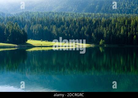 The morning sun is illuminating a green pasture between dense forest and Lake St. Moritz, the scenery reflecting in the water. Stock Photo