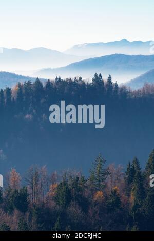 Beautiful view of treetops of mixed forest with misty valleys and hills in the distance in Slovenia. Tourism, hiking, nature, environment and forestry Stock Photo