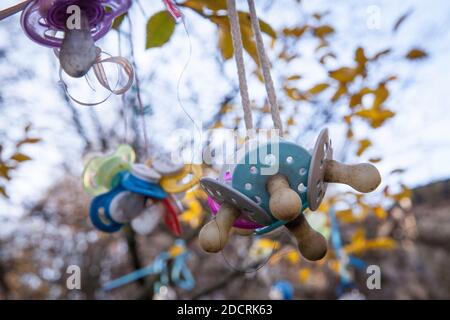 pacifier tree, for the early pacifier weaning children can hang their pacifiers in the tree and hope for a gift of the pacifier fairy, Witten, North R Stock Photo