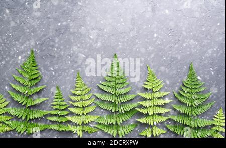 Creative new year background. Christmas trees made from fern leaves. Flat lay. Holiday concept. Stock Photo